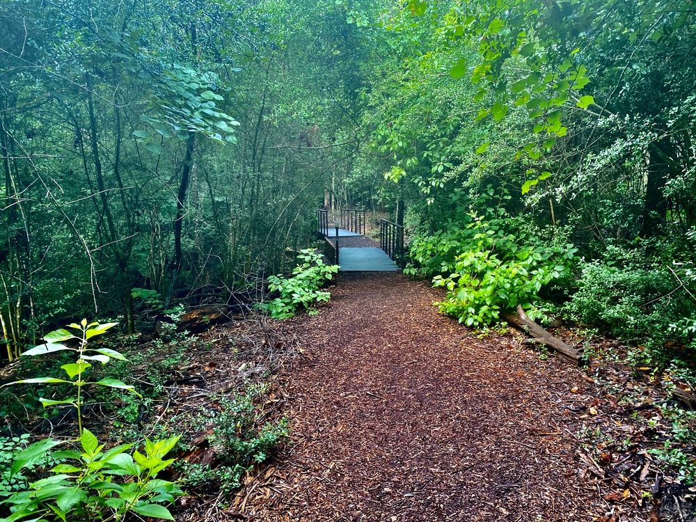 Houston,Arboretum,&,Nature,Center,-,Ravine,Trail