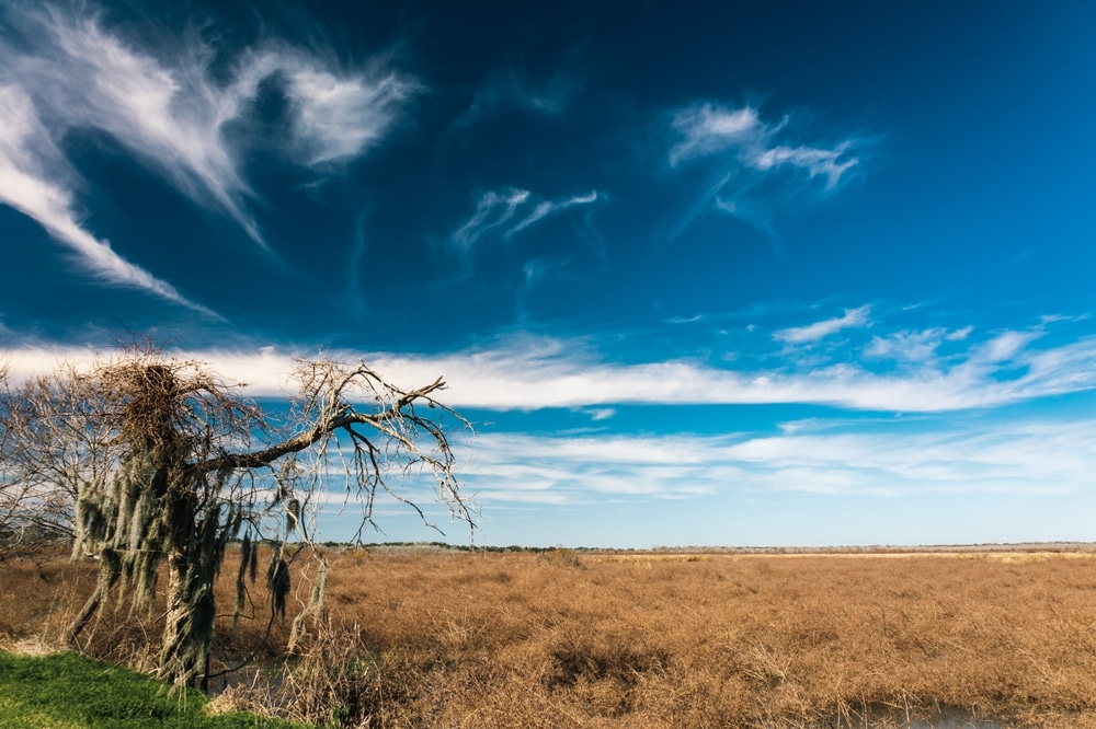 Brazos,Bend,State,Park,,Texas,,In,A,Beautiful,Sunny,Morning